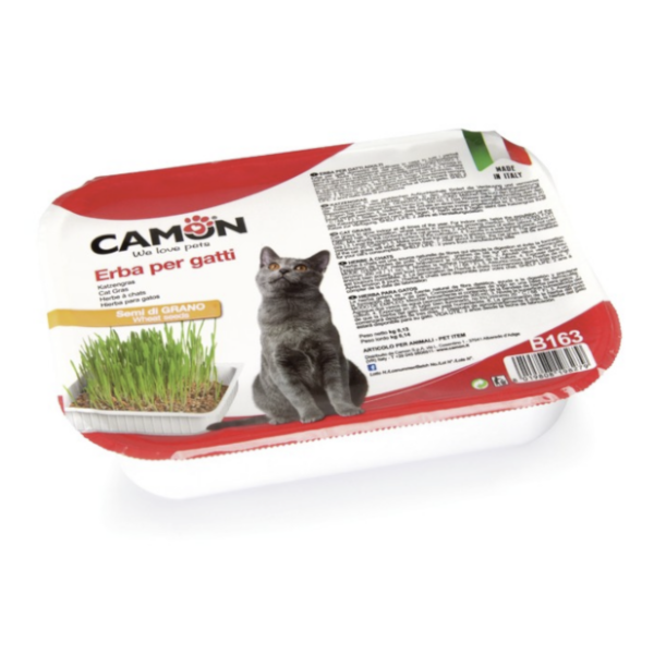דשא לחתולים CAMON עם זרעי חיטה באנר