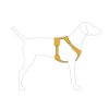 רתמת RUFFWEAR FRONT RANGE® HARNESS להליכה יומיומית באנר