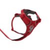 רתמת RUFFWEAR FRONT RANGE® HARNESS להליכה יומיומית באנר