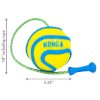 צעצוע WAVZ BUNJIBALL עם חבל בנג'י ייחודי באנר