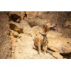 רתמת RUFFWEAR DOUBLEBACK HARNESS כאשר יש צורך בבטיחות וחוזק ברמה הגבוהה ביותר באנר