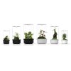 Bioloark Bio Bottle MH Series באנר
