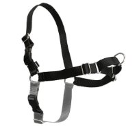 רתמת easywalk להליכה קלה ללא משיכה מידה L