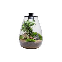 Bioloark Bio Bottle SD175