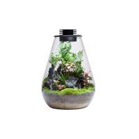 Bioloark Bio Bottle SD200