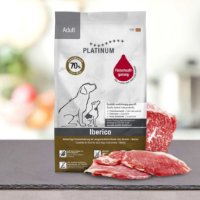 פלטינום מזון לח לכלב בוגר נטול דגנים איבריקו וירוקים
