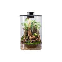 Bioloark Bio Bottle ZD200