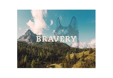 BRAVERY