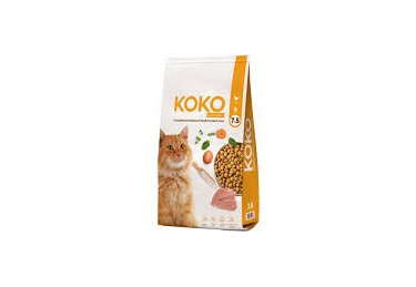 koko cat