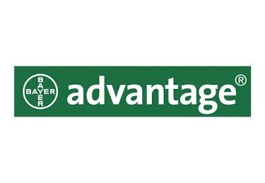 advantage