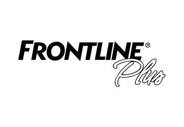 FRONTLINE