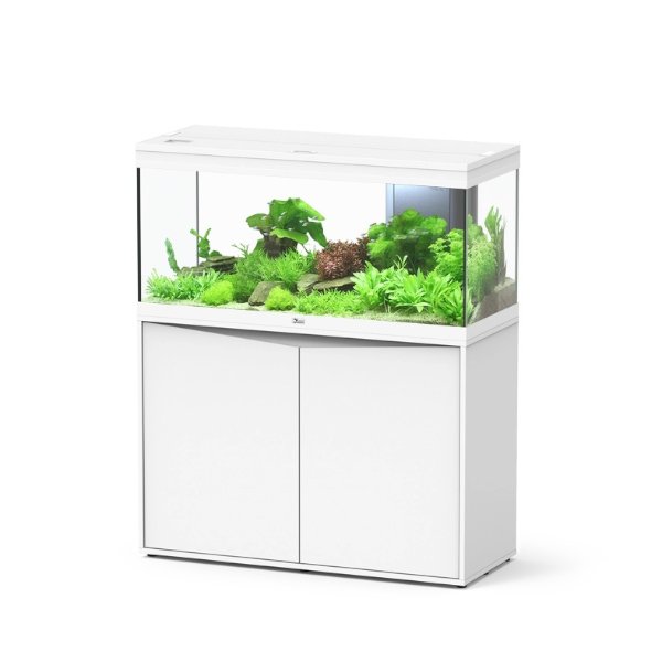 אקווה אטלנטיס וולגה לבן VOLGA 180L באנר