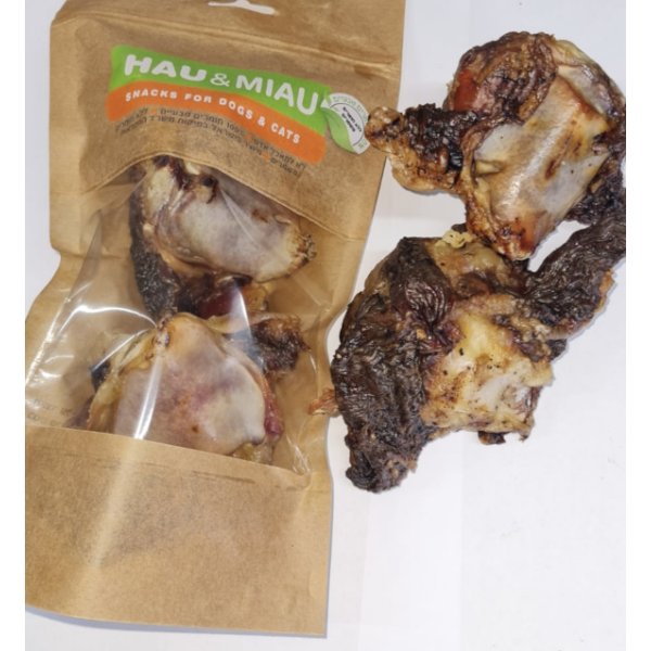 עצם פיקה זוגית  באנר