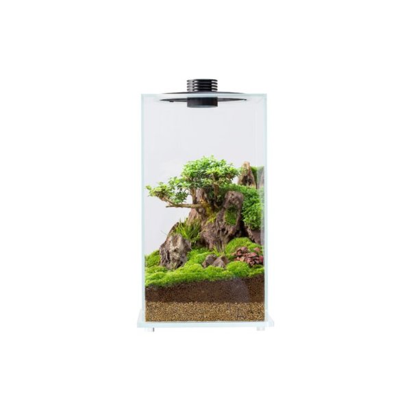 Bioloark Bio Bottle FD250 באנר