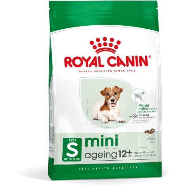 רויאל קנין מזון יבש לכלב מבוגר מיני אייג'ינג 12+ באנר
