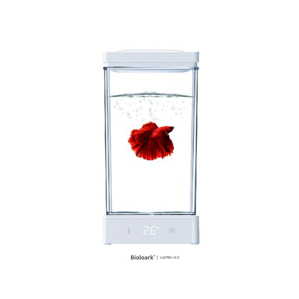 Bioloark BT-01 אקווריום לדג קרב  באנר