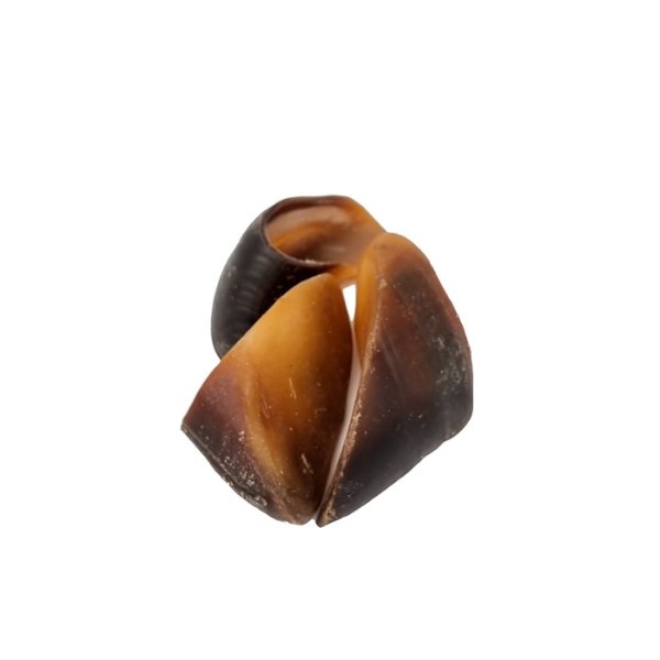 פרסת בקר לעיסה באנר
