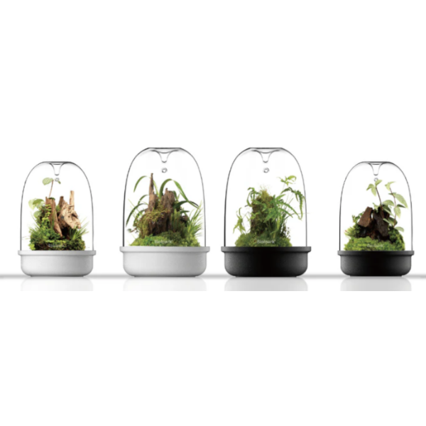 Bioloark Bio Bottle MQ Series באנר
